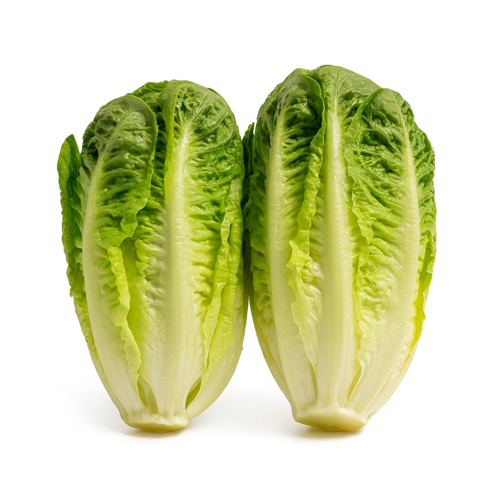 Organic Lettuce Baby Cos 2 Pack