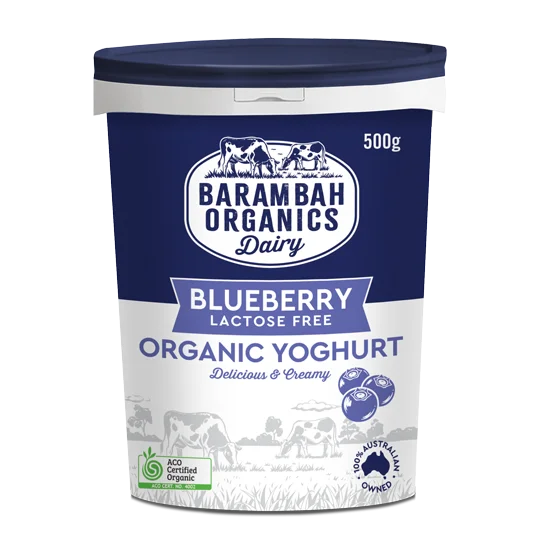 Yoghurt Blueberry 500g Lactose Free
