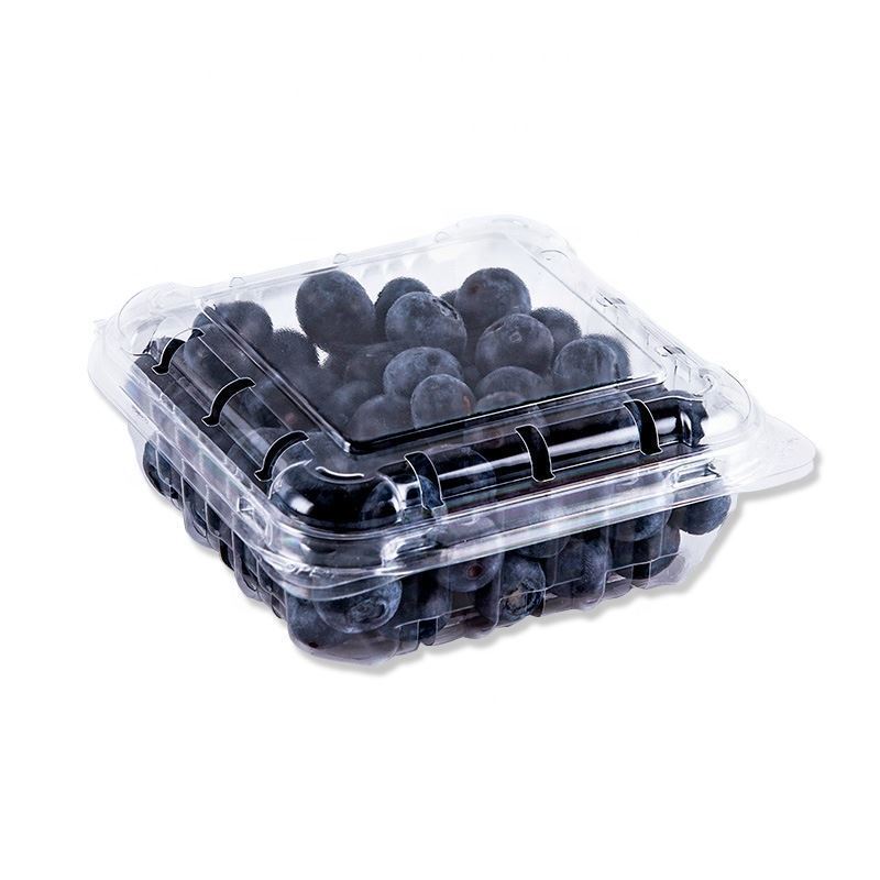 Organic Blueberry Punnet 125g
