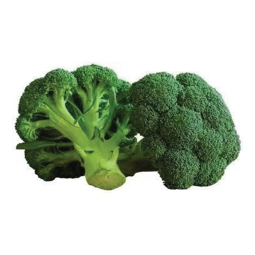 Organic Broccoli