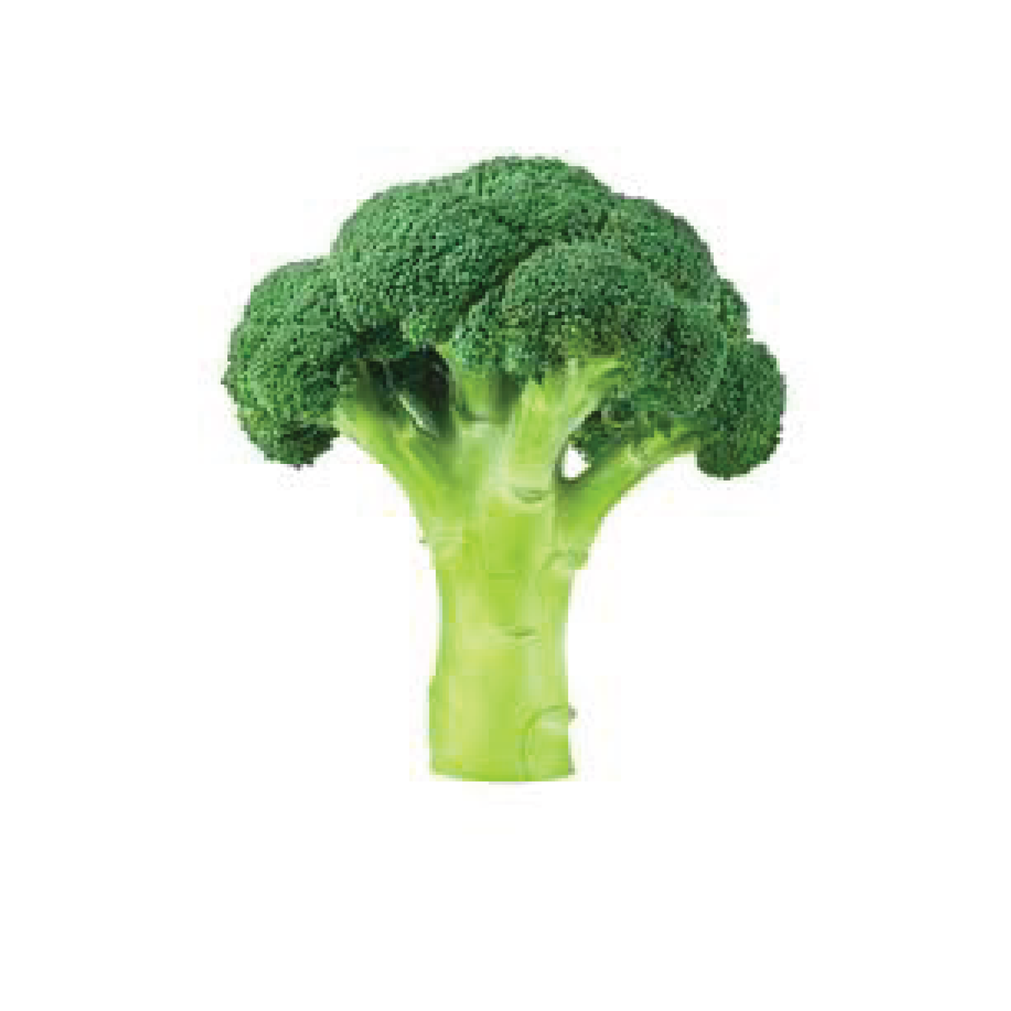 Organic Broccoli