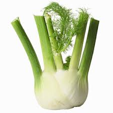Organic Fennel Bulb