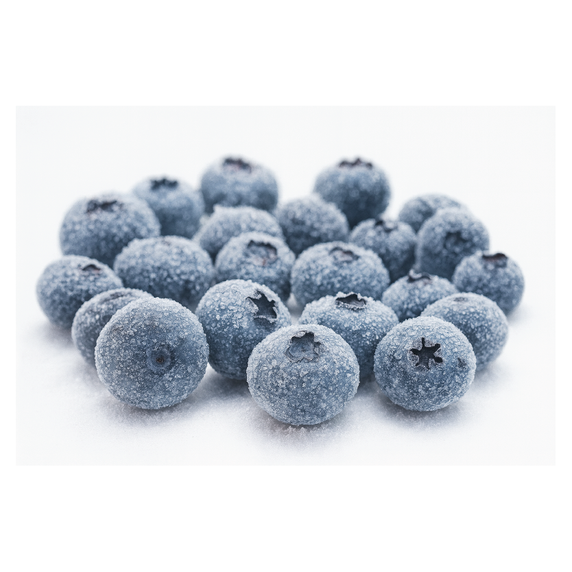 Frosted blueberries on a white background