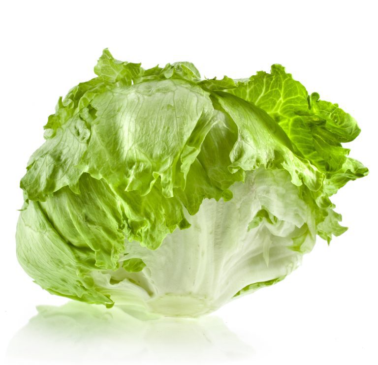 Organic Lettuce Iceberg