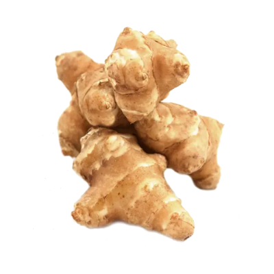 Jerusalem Artichoke in a pile on a white background