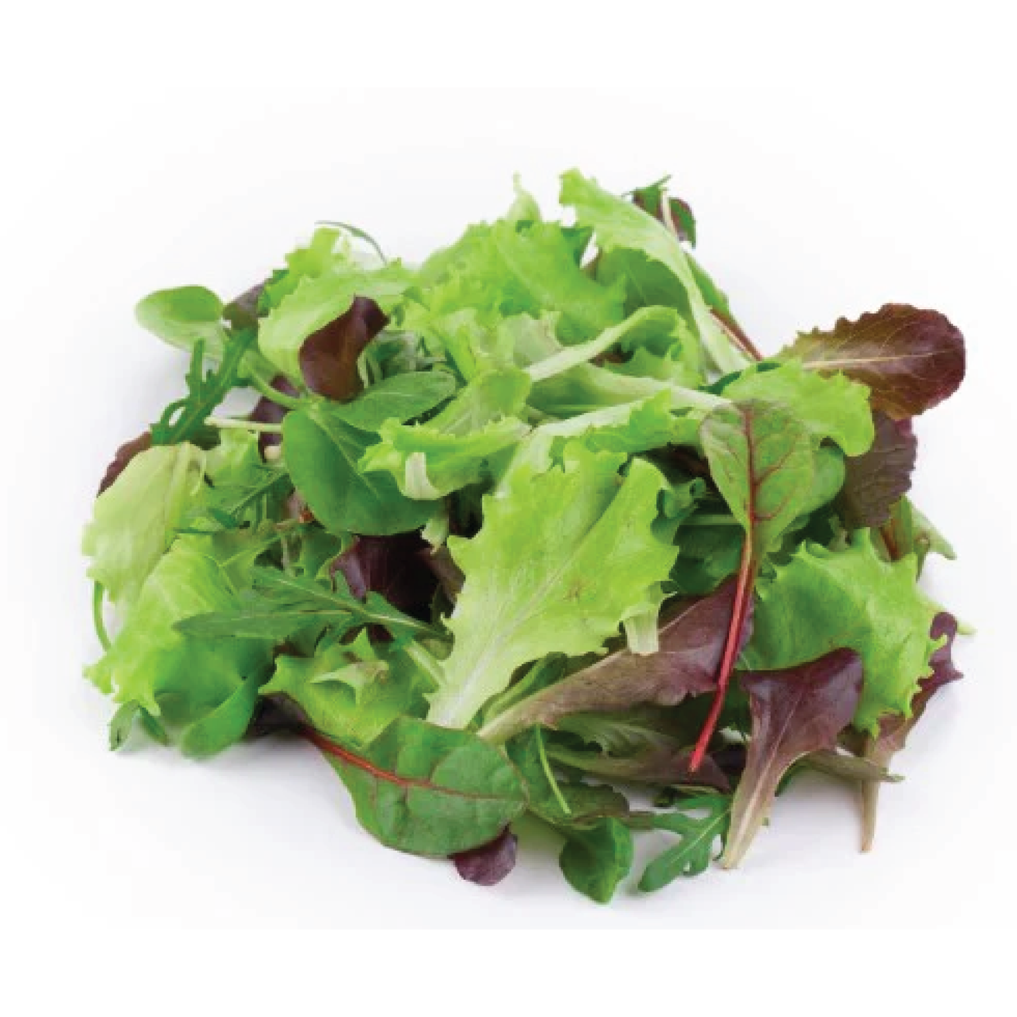 Organic Salad - Lettuce Salad Mix 120g Punnet