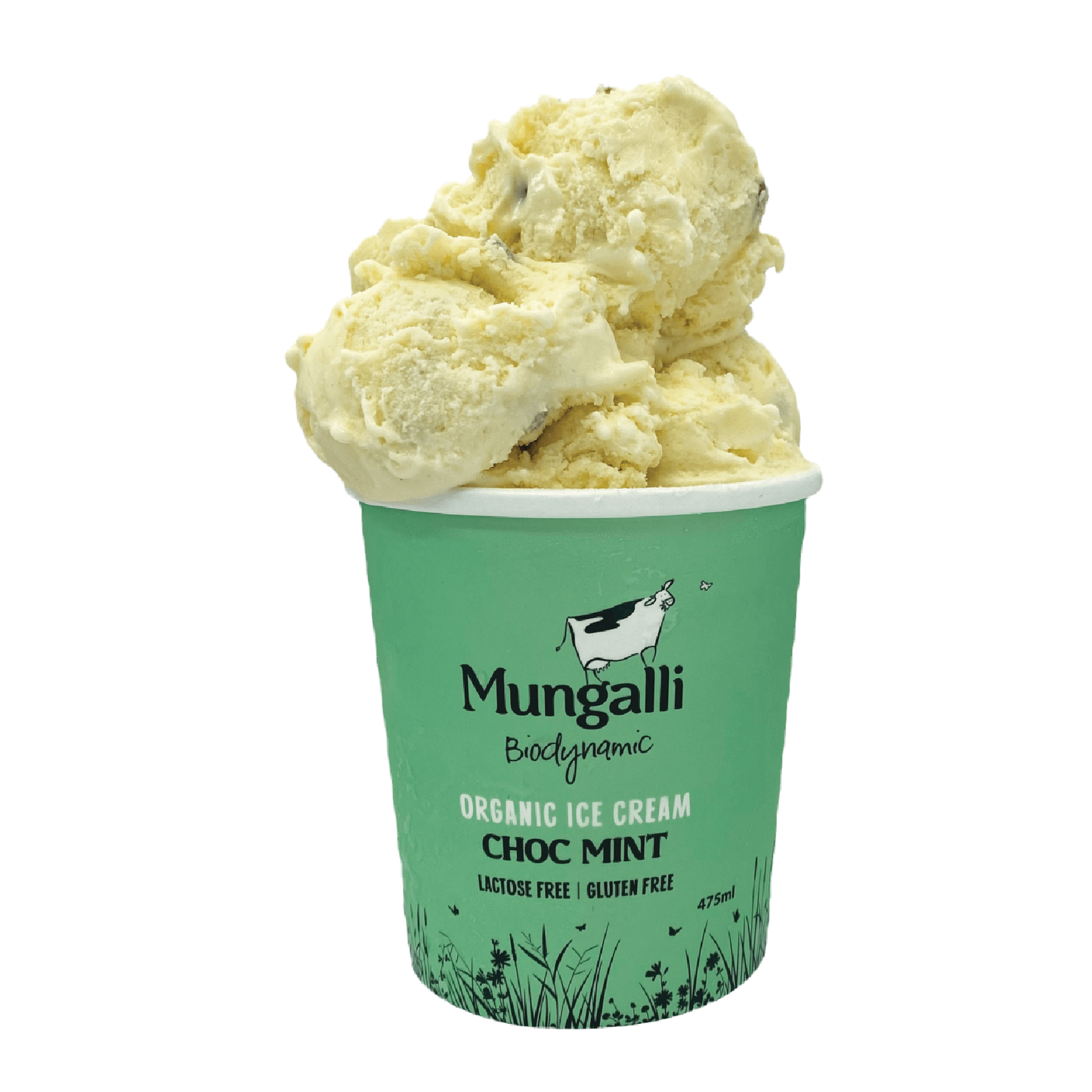 Ice Cream Choc Mint Choc Chip 475ml