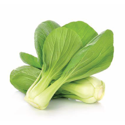 Bunch of green bok choy on a white background