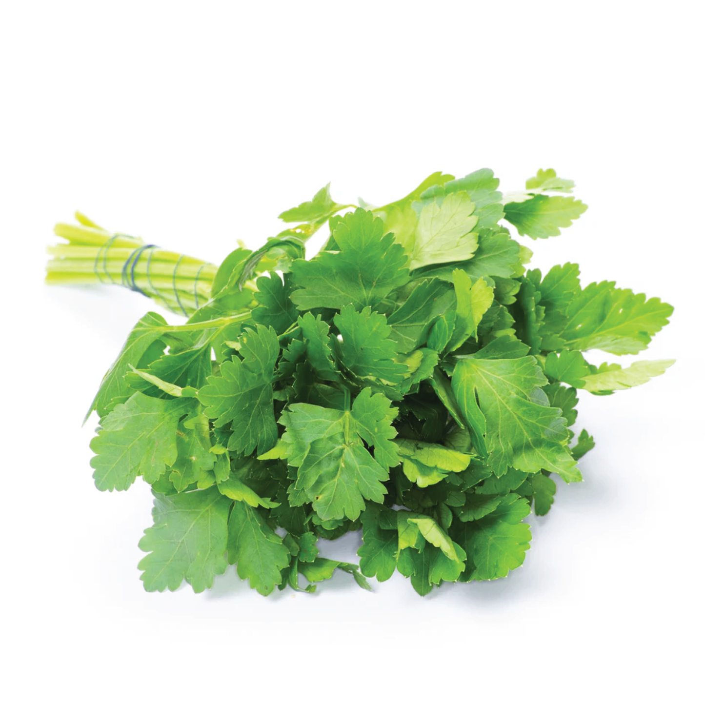 Organic Parsley Flat (Italian)