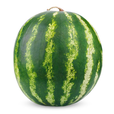 A single Organic Watermelon Minilee with green and white stripes.