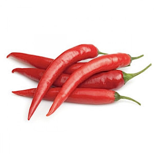 A group of fresh long red organic chillies against a white background.