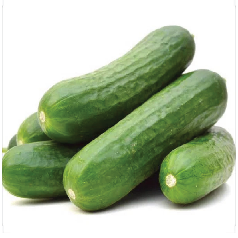 Organic Cucumber Lebanese