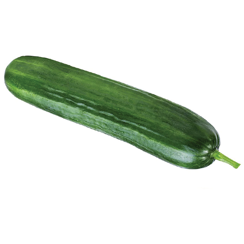 Organic Cucumber Lebanese