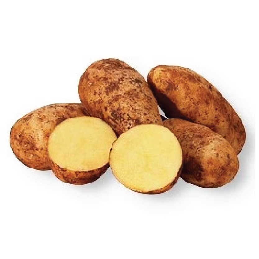 Organic Potato - Dutch Cream