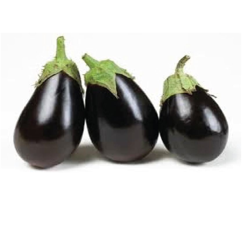 Organic Eggplant