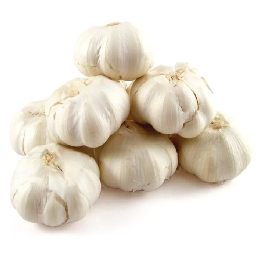 Organic Garlic - Russian