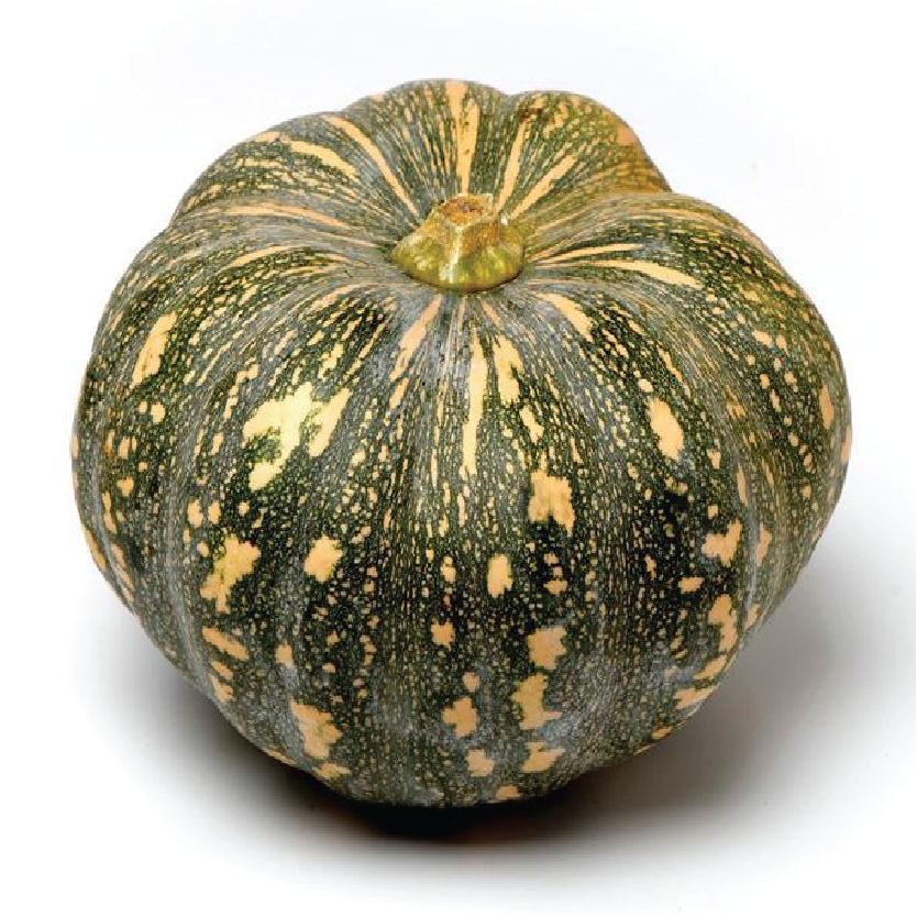 Organic Pumpkin Jap/Kent