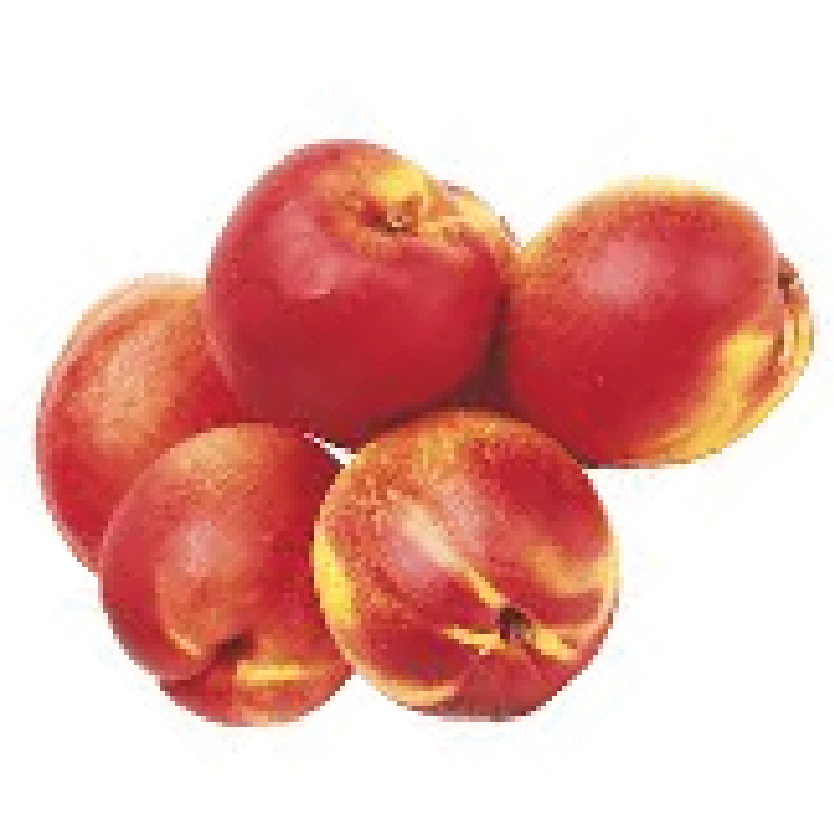 Organic Nectarine Yellow