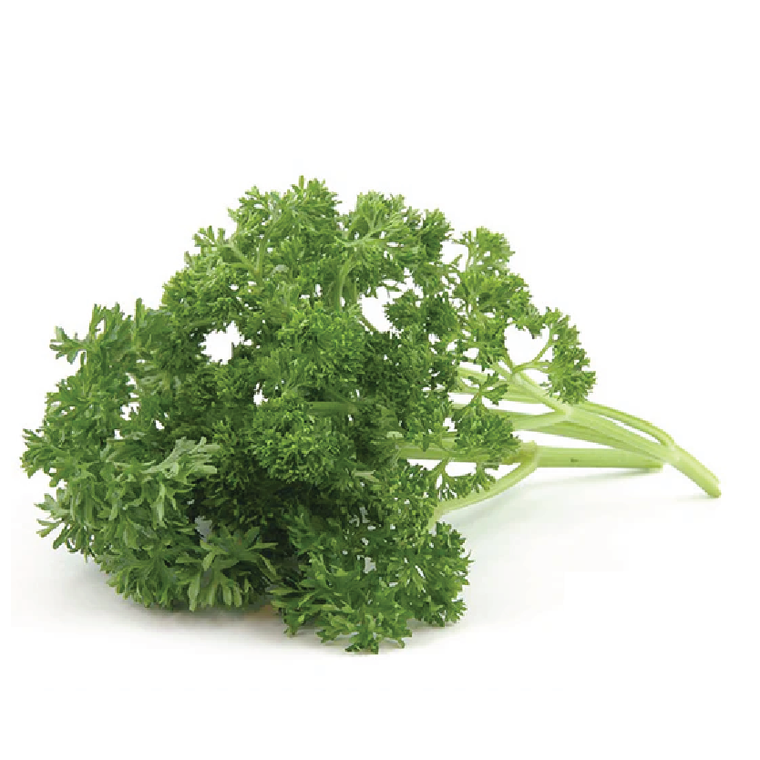 Organic Parsley Curly Bunch