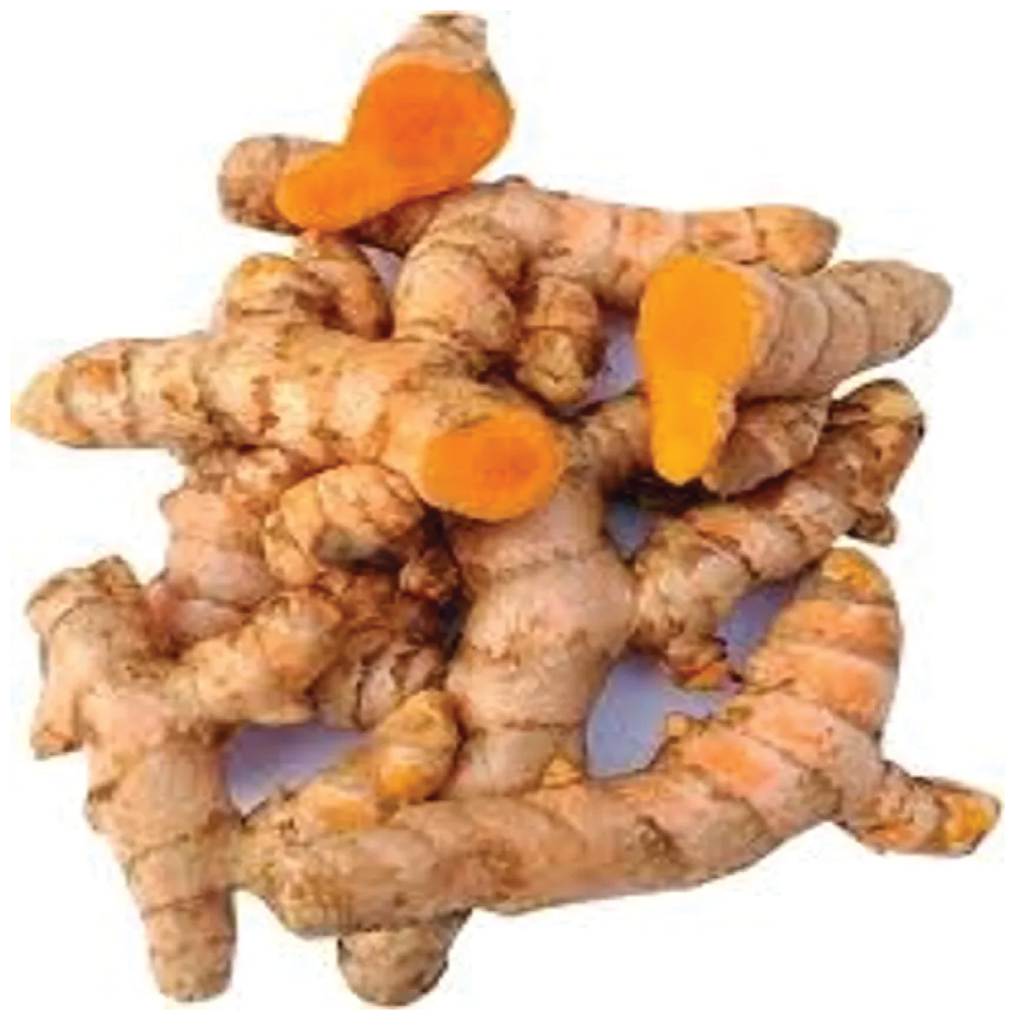 Organic Turmeric