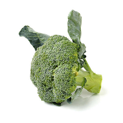 Green broccoli head on a white background