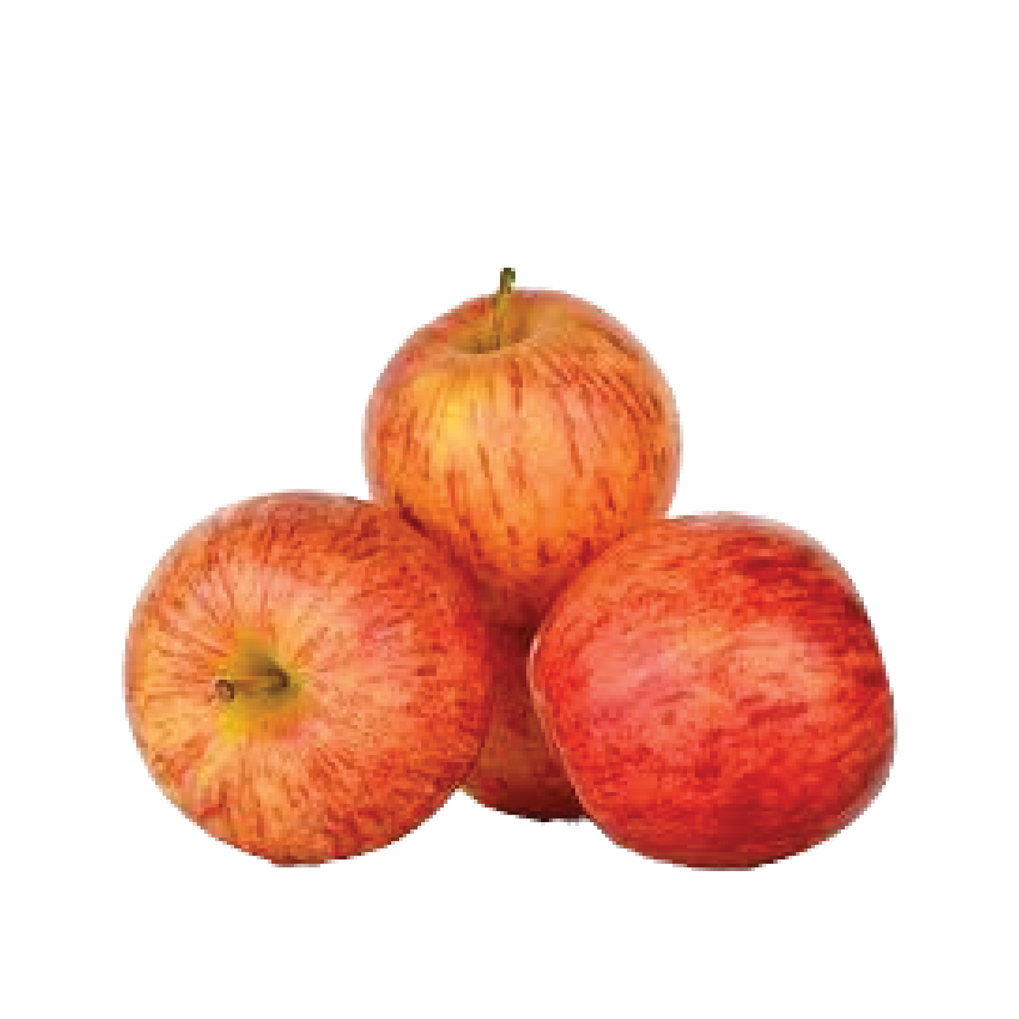 Organic Apple Gala