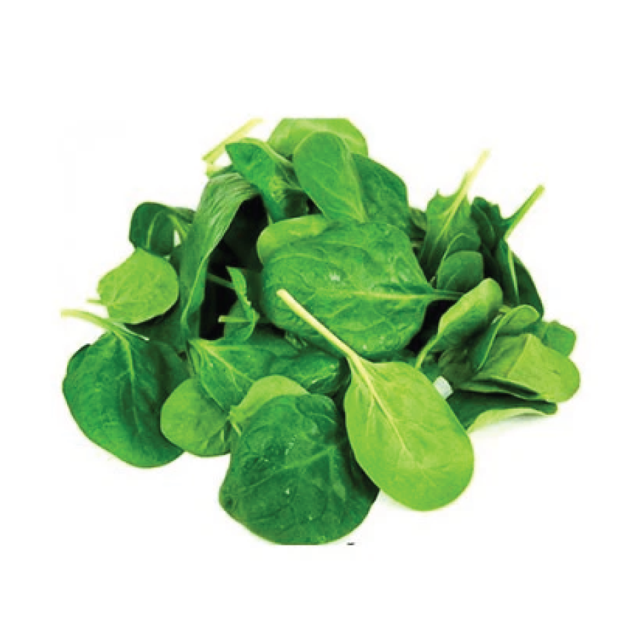 Spinach Baby 120g
