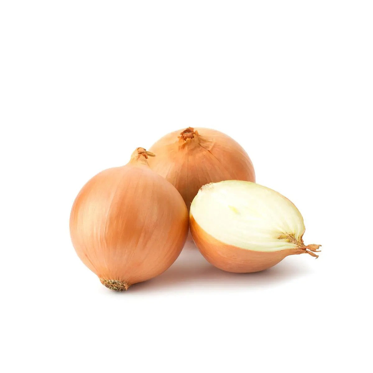 Onion Brown 1kg (large)