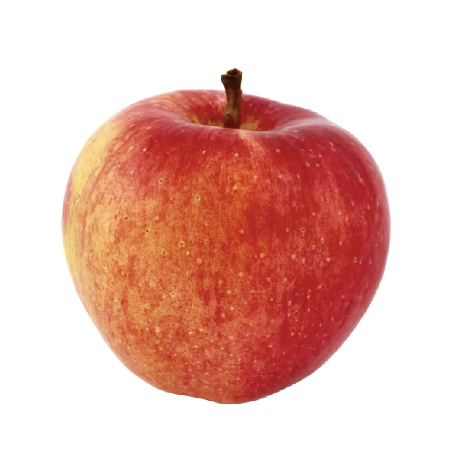 Certified Organic Gala Apple