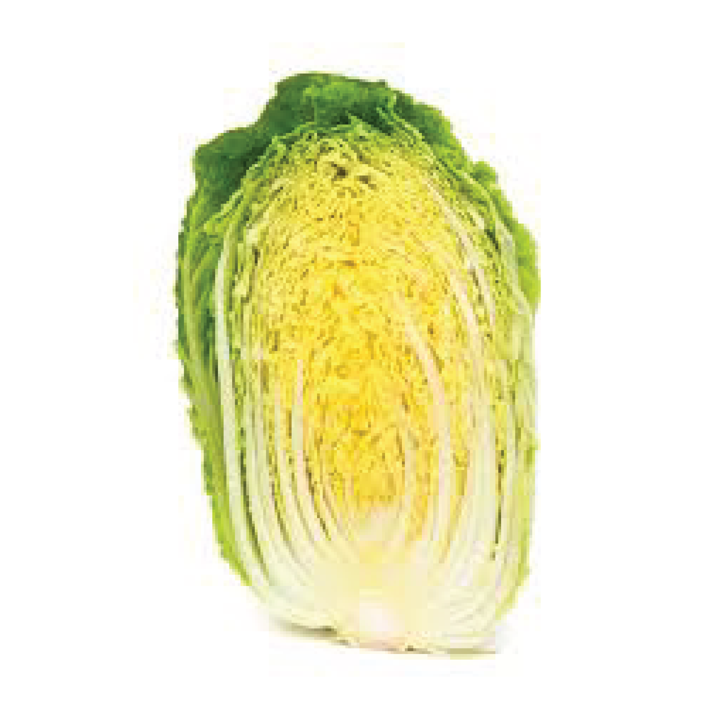 Organic Cabbage Wombok Half
