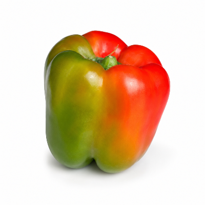 Coloured capsicum on a white background