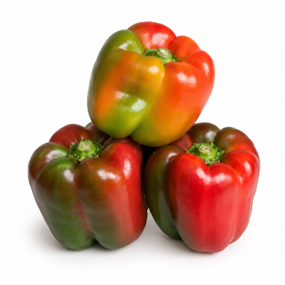 Three coloured capsicums on a white background