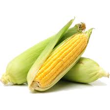 Organic Sweet Corn Each