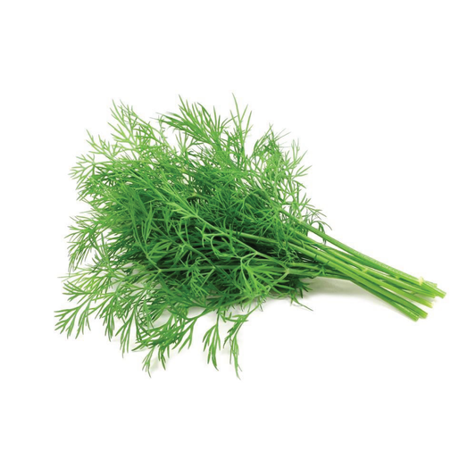 Organic Dill Bunch