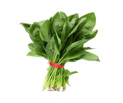 Organic English Spinach Bunch