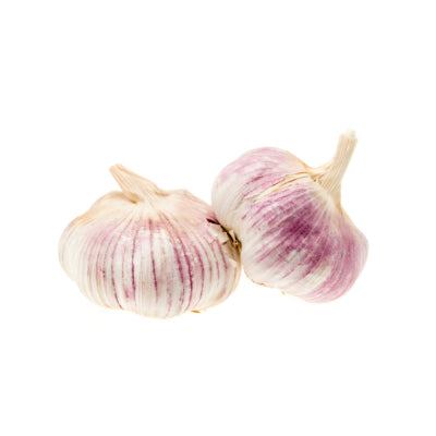 Two bulbs of garlic with purple and white skins on a white background.