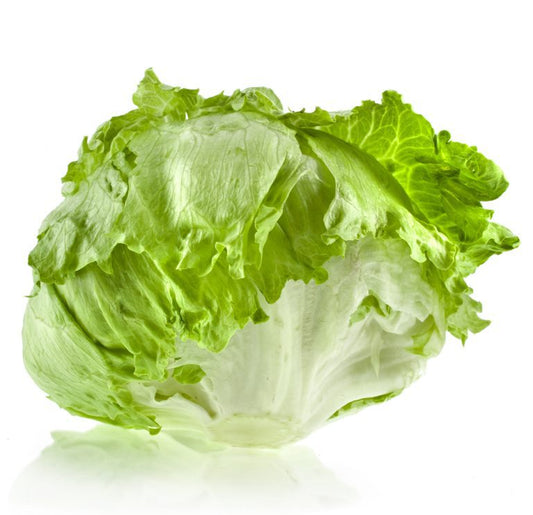 Organic Lettuce Iceberg