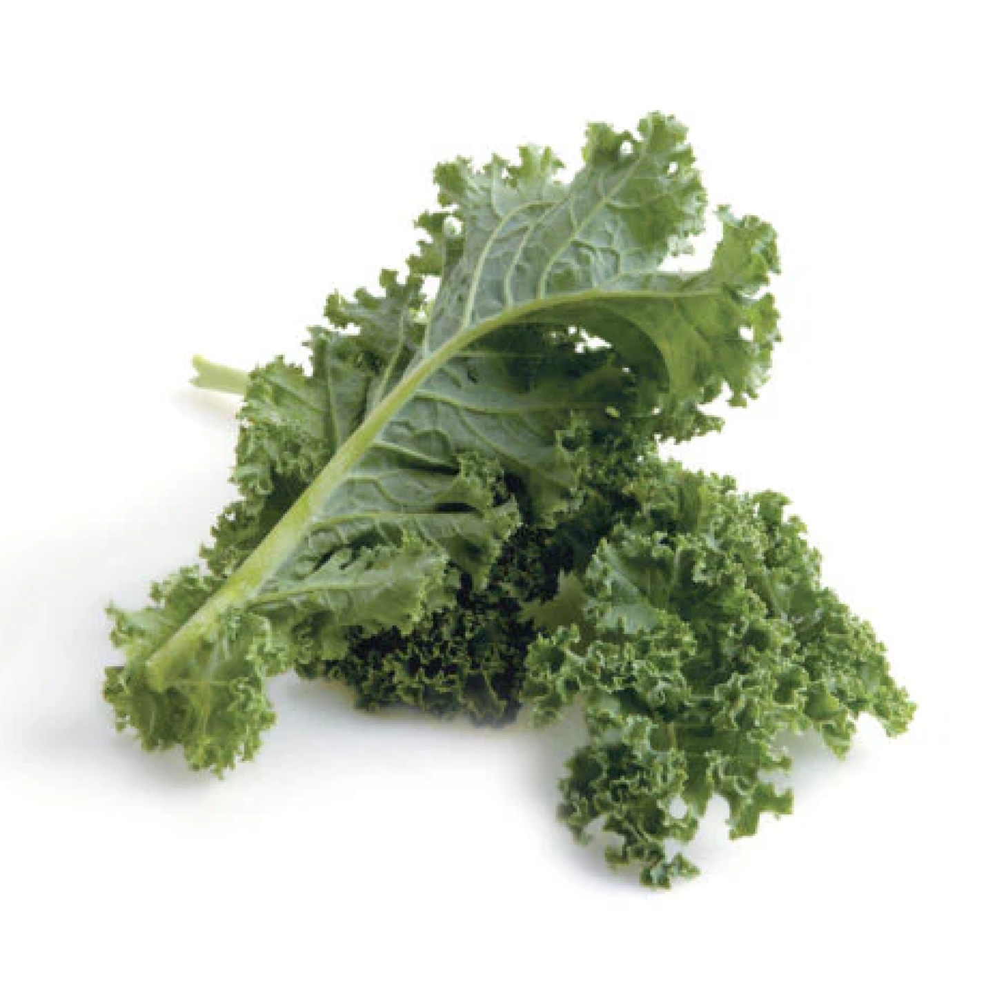Kale Green/Curly Bunch