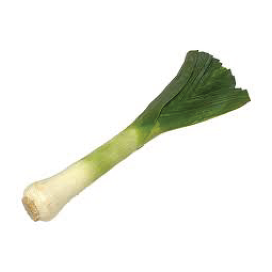 Organic Leek