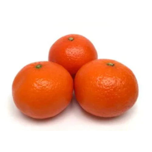 Three Daisy Mandarins on a white background