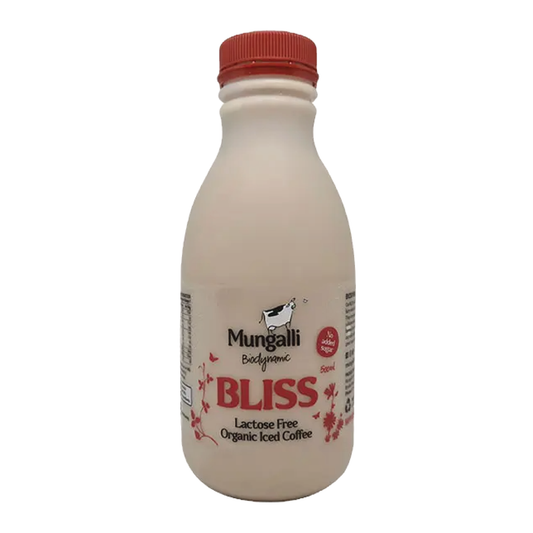 Iced Coffee Bliss 500ml