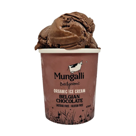 Ice Cream Chocolate Indulgence 1L