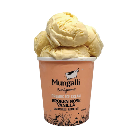 Ice Cream Broken Nose Vanilla 475ml