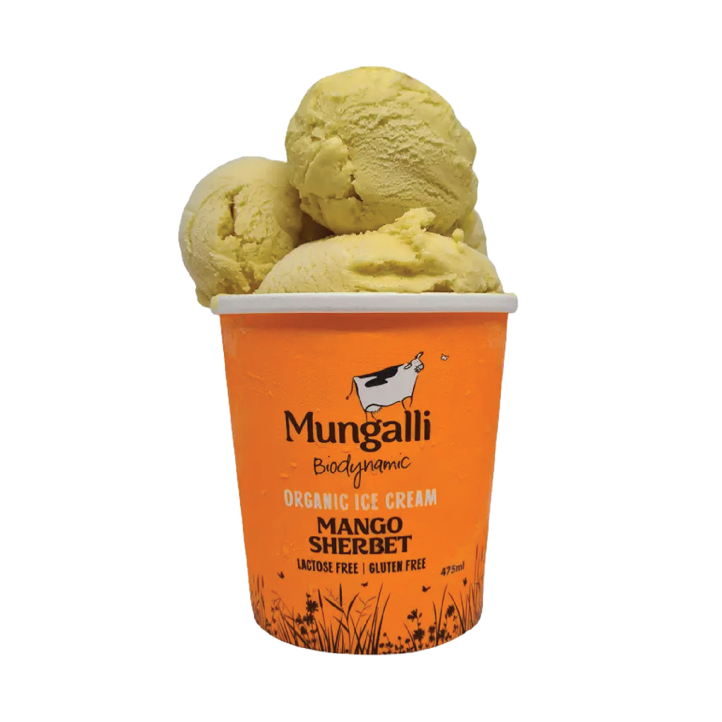 Ice Cream Australian Mango Sherbet 475ml