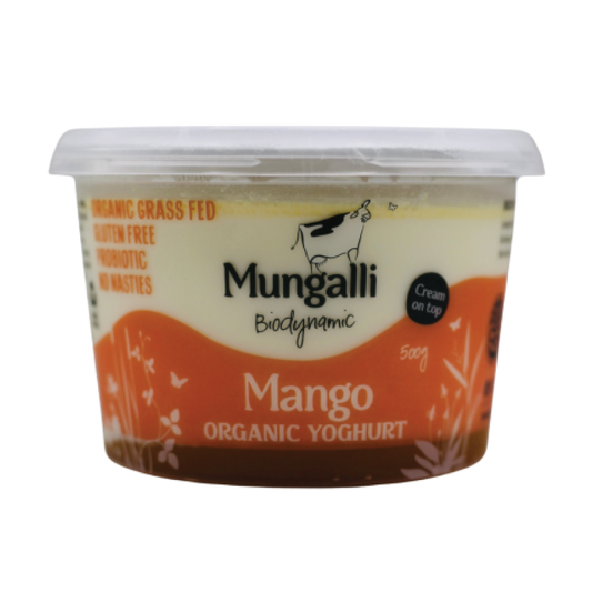 Yoghurt Mango 500g