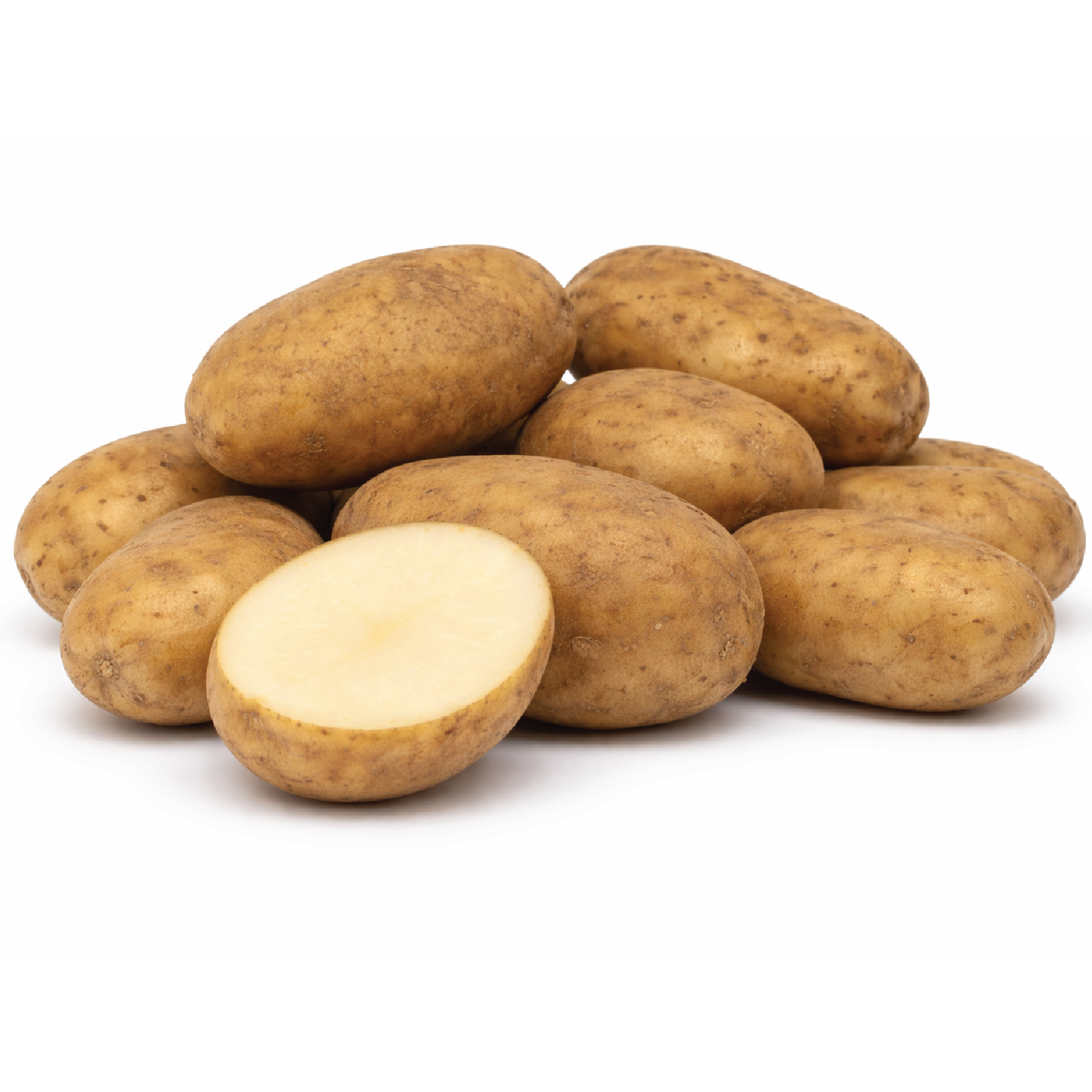 Organic Potato Nicola