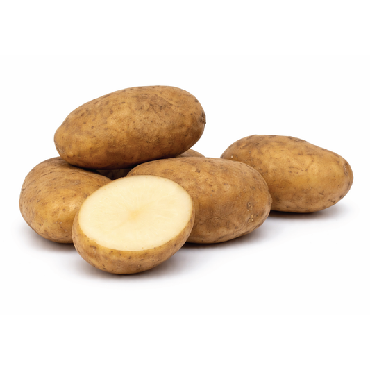 Organic Potato Nicola