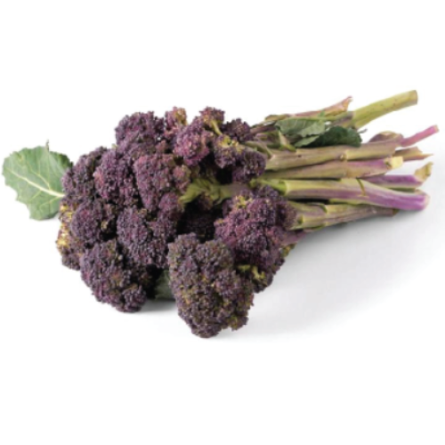 Purple Baby Broccoli on a white background