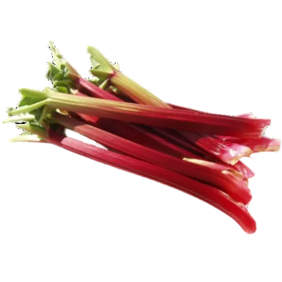 Bunch of red rhubarb stalks on a white background