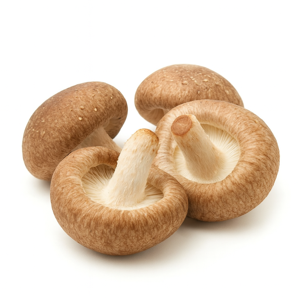 Four shiitake mushrooms on a white background